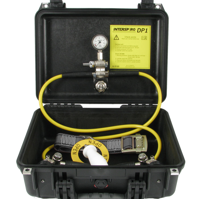 Divator DP1 Panel